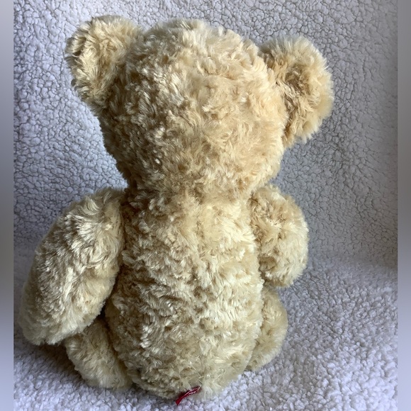 F.A.O. Toys R Us 2014 Bear Stuffed Animal Plush Toy - Picture 8 of 9